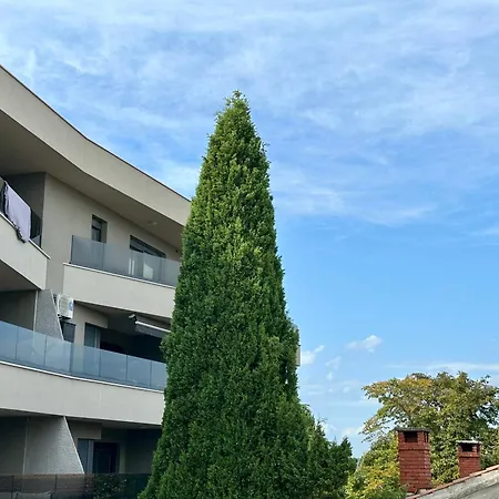 Stoja - 50m From The Sea !! شقة *